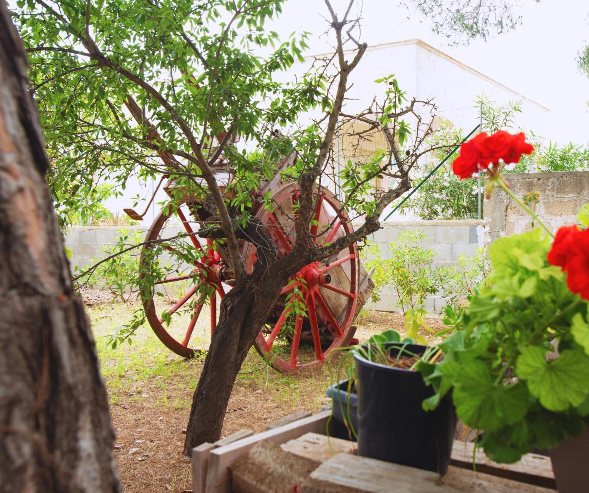פולסנו B&B Montedarena מראה חיצוני תמונה
